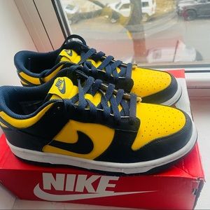 Nike Dunks (Michigans)